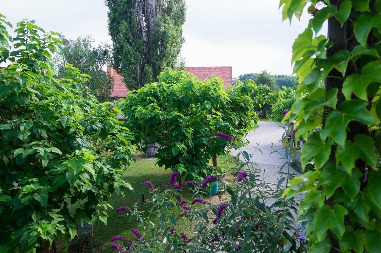 Turisticna Kmetija Vrezner Apartment Zgornja Kungota Buitenkant foto