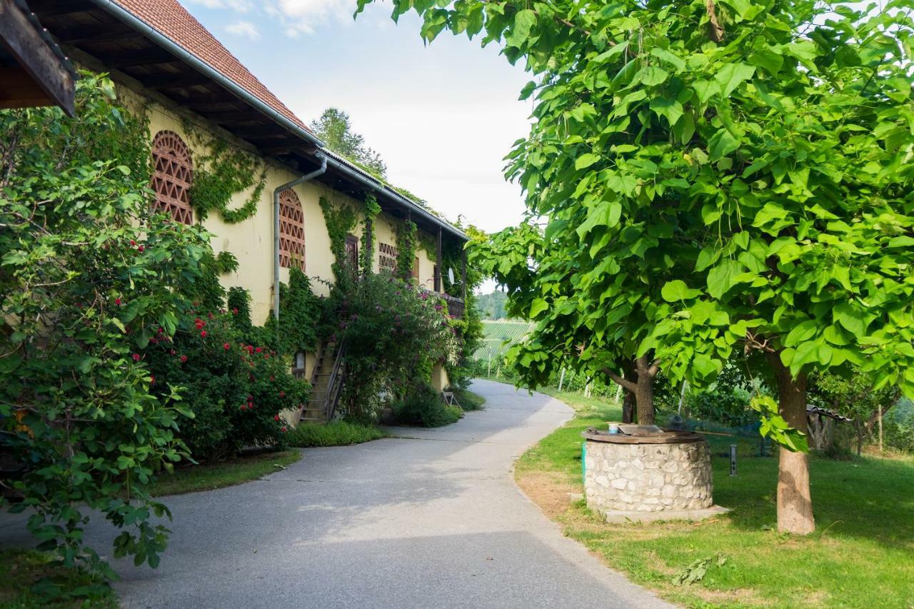 Turisticna Kmetija Vrezner Apartment Zgornja Kungota Buitenkant foto