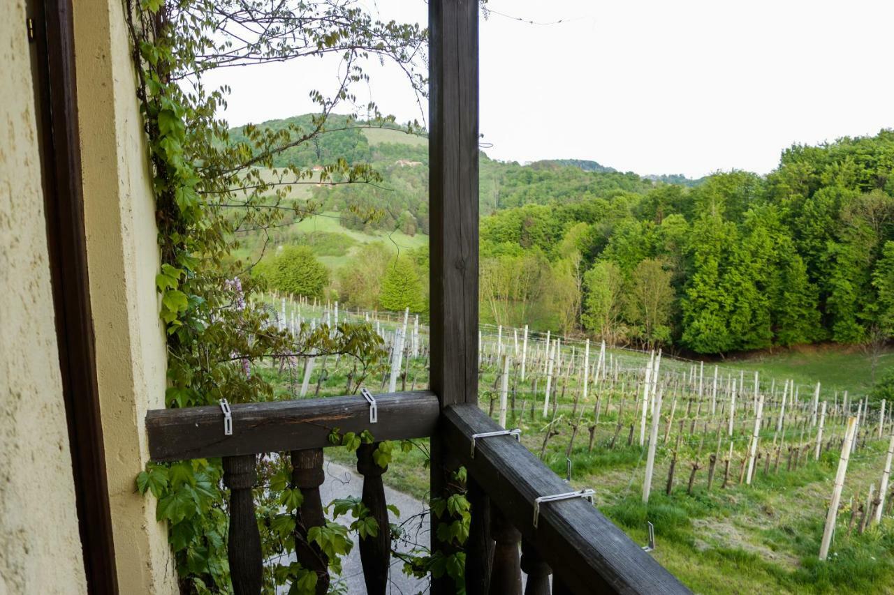 Turisticna Kmetija Vrezner Apartment Zgornja Kungota Buitenkant foto