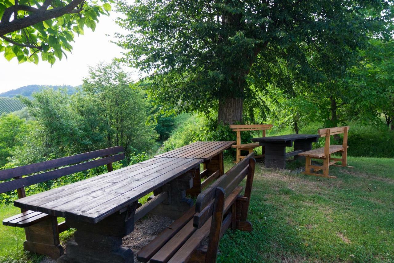 Turisticna Kmetija Vrezner Apartment Zgornja Kungota Buitenkant foto