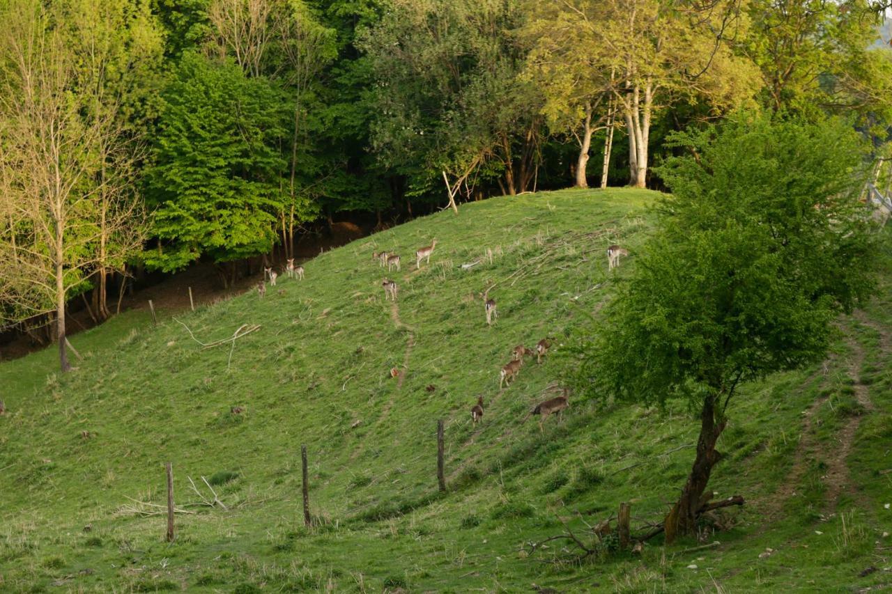 Turisticna Kmetija Vrezner Apartment Zgornja Kungota Buitenkant foto